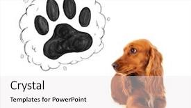  Presentation with paw - Slides enhanced with thought bubble above her head background and a  colored foreground