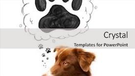  Presentation with thought - Amazing PPT layouts having young woman and fall yellow backdrop and a coral colored foreground