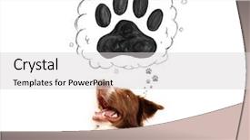  Presentation with border - Audience pleasing presentation theme consisting of thought bubble above his head backdrop and a light gray colored foreground