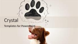  Presentation with border - Colorful slide deck enhanced with thought bubble above his head backdrop and a lemonade colored foreground