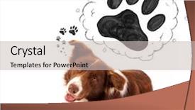  Presentation with paw - Colorful PPT layouts enhanced with thought bubble above his head backdrop and a  colored foreground