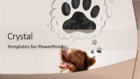  Presentation with paw - Audience pleasing PPT theme consisting of thought bubble above his head backdrop and a lemonade colored foreground