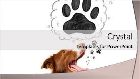  Presentation with border - PPT layouts consisting of thought bubble above his head background and a  colored foreground