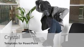  Presentation with costume - Slides with thoughtful-young-man-in-gorilla background and a light gray colored foreground