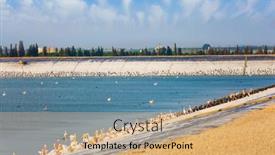  Presentation with israel - Cool new theme with thousands-of-pelicans-stop backdrop and a coral colored foreground