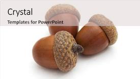  Presentation with three phase induction motor - Presentation design having three acorns on white background background and a lemonade colored foreground