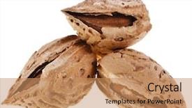  Presentation with almonds - PPT theme having three almonds seed close up background and a coral colored foreground