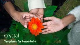  Presentation with caring hands - Colorful PPT theme enhanced with three-asian-women-touching backdrop and a forest green colored foreground