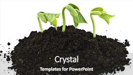  Presentation with azuki bean - Presentation theme featuring three bean seeds germinating shot background and a  colored foreground