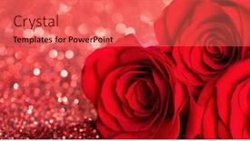  Presentation with glitter - Slide deck featuring three beautiful red roses on glitter background background and a coral colored foreground