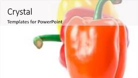  Presentation with peppers - Beautiful presentation theme featuring three bell peppers isolated on white background backdrop and a sky blue colored foreground