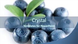  Presentation with blueberries - Audience pleasing presentation consisting of three blueberries with leaves backdrop and a ocean colored foreground