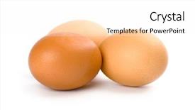  Presentation with dairy - PPT theme consisting of three brown eggs isolated background and a  colored foreground