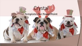  Presentation with white christmas - Colorful PPT theme enhanced with three bulldogs wearing festive christmas backdrop and a lemonade colored foreground