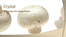  Presentation with mushroom - Colorful slides enhanced with three button mushrooms in isolated backdrop and a cream colored foreground