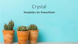  Presentation with clay - Presentation design having three-cactus-plants-in-clay background and a arctic colored foreground