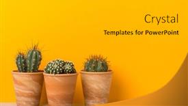  Presentation with clay - PPT theme enhanced with three-cactus-plants-in-clay background and a light gray colored foreground