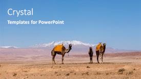  Presentation with landscape desert - Slides featuring three-camels-in-african-desert background and a teal colored foreground