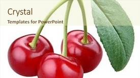  Presentation with cherry - Amazing presentation having three cherries with a cherry backdrop and a soft green colored foreground