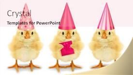  Presentation with chicks - Presentation theme having three-chicks-with-high-birthday background and a lemonade colored foreground