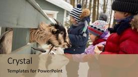  Presentation with bread - Beautiful theme featuring three children feed goats backdrop and a coral colored foreground
