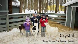  Presentation with fold - Beautiful PPT theme featuring three children feed goats backdrop and a mint green colored foreground