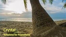  Presentation with tree - Amazing PPT layouts having three-coconuts-under-the-tree backdrop and a tawny brown colored foreground