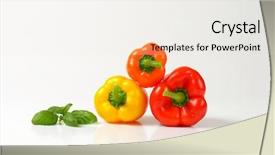  Presentation with peppers - PPT layouts having three-colorful-bell-peppers background and a sky blue colored foreground