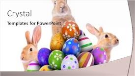  Presentation with easter - Colorful presentation theme enhanced with three-curious-funny-easter-bunnies backdrop and a white colored foreground
