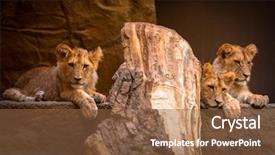  Presentation with lions - Amazing PPT theme having three cute baby lions portrait backdrop and a  colored foreground