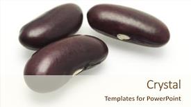  Presentation with kidney - Colorful theme enhanced with red kidney beans on white backdrop and a cream colored foreground