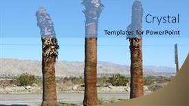  Presentation with hot springs - PPT layouts having three-dead-palm-tress-along background and a light blue colored foreground
