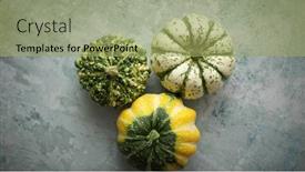  Presentation with rustic - Presentation with three-decorative-mini-pumpkins background and a mint green colored foreground