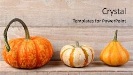  Presentation with wood rustic - Cool new presentation with three different pumpkins and gourds on a rustic wood shelf horizontal format with copy space backdrop and a soft green colored foreground