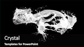  Presentation with milk splashing - PPT layouts with three dimensional - abstract image of milk splashing background and a black colored foreground