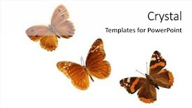  Presentation with butterflies - Beautiful theme featuring market biescas pyrenees huesca spain backdrop and a violet colored foreground