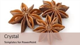  Presentation with dry fruits - Presentation theme enhanced with three dry star anise fruits background and a coral colored foreground