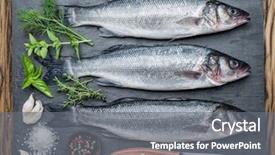  Presentation with graphite - Presentation theme consisting of three fish - seabass background and a gray colored foreground