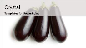  Presentation with eggplant - Presentation theme consisting of three fresh eggplants isolated background and a light gray colored foreground