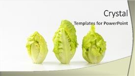  Presentation with heads - Cool new theme with three-fresh-little-gem-lettuce backdrop and a white colored foreground