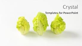  Presentation with heads - Beautiful PPT layouts featuring three-fresh-little-gem-lettuce backdrop and a white colored foreground