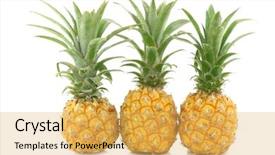  Presentation with pineapple - Slide deck with three fresh mini pineapple fruits background and a  colored foreground