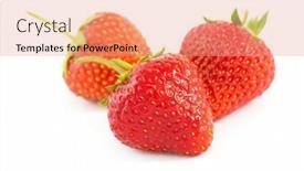  Presentation with strawberries - Amazing PPT theme having three-fresh-strawberries-isolated backdrop and a coral colored foreground