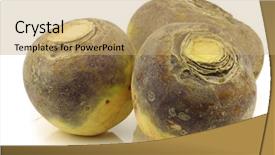  Presentation with fresh ginger root on white - Colorful PPT layouts enhanced with three fresh turnips brassica rapa backdrop and a coral colored foreground