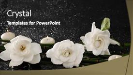  Presentation with bamboo flower - Colorful slide set enhanced with three gardenia flower with thin bamboo grove on wet background backdrop and a dark gray colored foreground