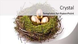  Presentation with gold egg - PPT theme consisting of three gold eggs background and a  colored foreground