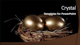  Presentation with bird eggs - Slides having eggs in bird's nest background and a black colored foreground