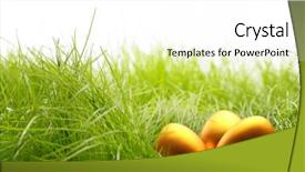  Presentation with grass - Presentation consisting of three golden eggs on grass background and a white colored foreground