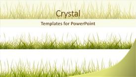  Presentation with grass - Presentation with three grass borders on isolated background and a cream colored foreground