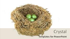  Presentation with environmental - Presentation enhanced with three green eggs in a natural birds nest against a white background the green eggs symbolizing environmental investment for the future background and a yellow colored foreground